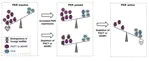 PACT suppresses PKR activation through dsRNA binding and dimerization, and is a therapeutic target for triple-negative breast cancer