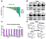 Evaluating the therapeutic potential of ADAR1 inhibition for triple-negative breast cancer