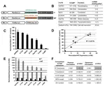 Translation efficiency is a determinant of the magnitude of miRNA-mediated repression